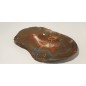 Ashtray from authentic Agate
