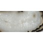 Feta natural Agate