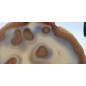 Feta natural Agate