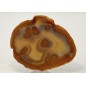 Feta natural Agate