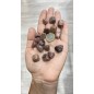Rodonitis Pebbles (Small)
