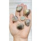 Quartz pebbles with tourmaline (large)