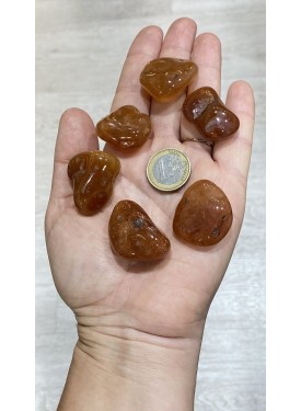 Βότσαλα Καρνεόλης