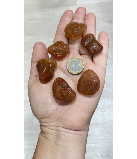 Βότσαλα Καρνεόλης