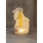 Selenitis Lamp