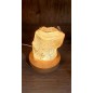 Selenitis Lamp