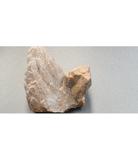 Complex of Ankeritiated Calcite (dogtooth)