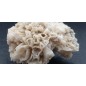 Lace Calcite with Galenite