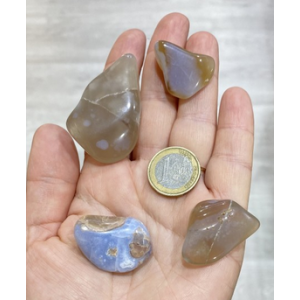 Chalcedonian carneoli