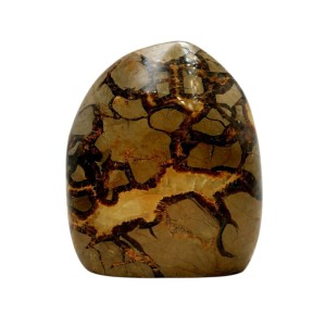 Septarian