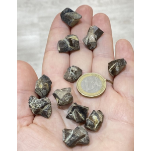 Stavrolithos (fairy's cross)