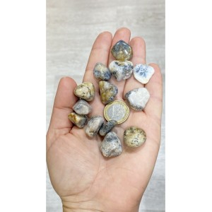 Agate (gray, black, botswana, tree)