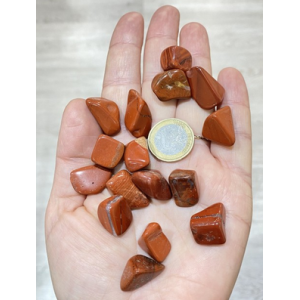 Jasper (red, pink, image, laty-duck, ocean)